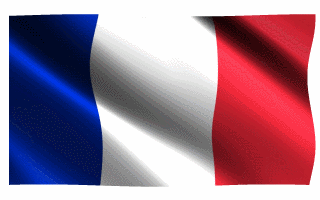 France Visa_200314112534.gif